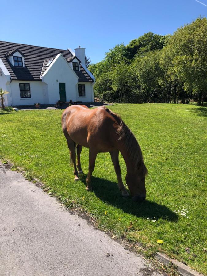 House With Sea Views Close To Beach With Wifi And Large Kitchen And Dining Ardnagreevagh Buitenkant foto